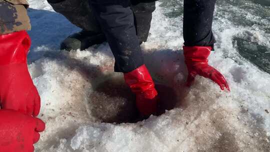 冰封湖面上的传统捕鱼
