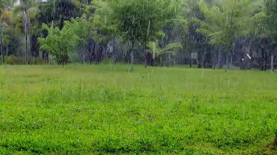 户外下雨视频