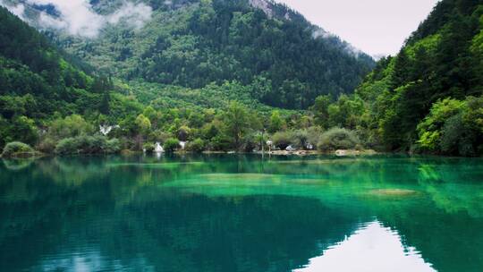 夏日清凉九寨沟风景