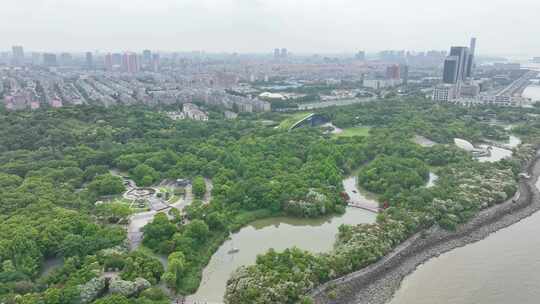 吴淞炮台湾湿地森林公园