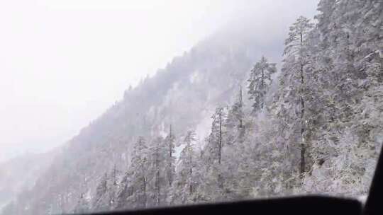 缆车窗外银装素裹的山林雪景