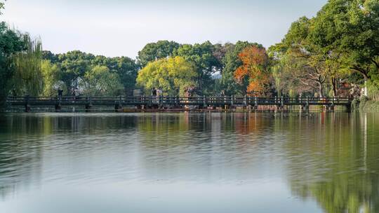 杭州西湖湖心岛小瀛洲秋天人流延时