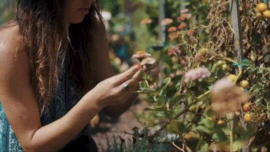 吃樱桃番茄的女人