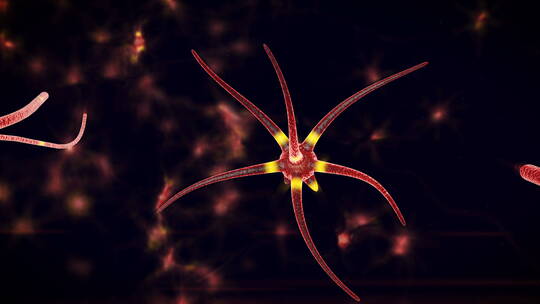黄色神经元通过紫色管游动