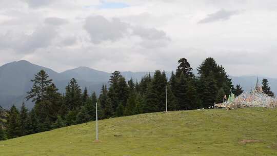 草原山顶森林风景