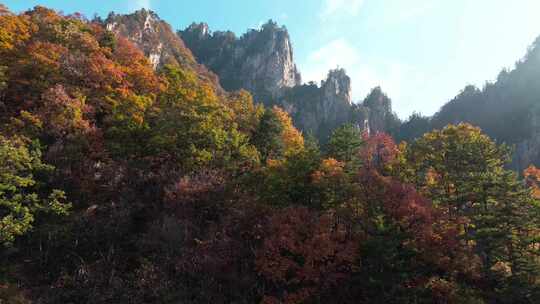 南阳老界岭秋景风光