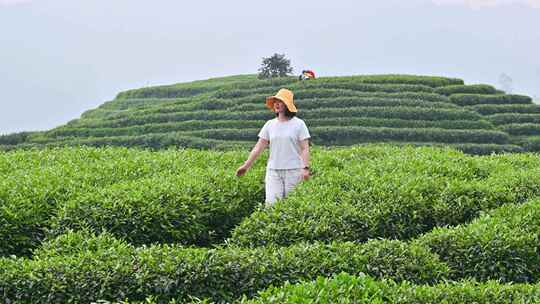 年轻亚洲女性在茶园里走动赏茶