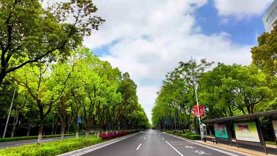 城市绿荫街道行车视角