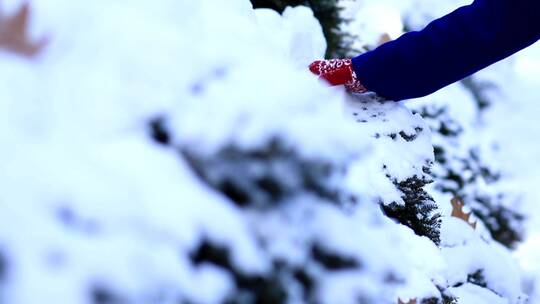 戴手套的女子玩雪