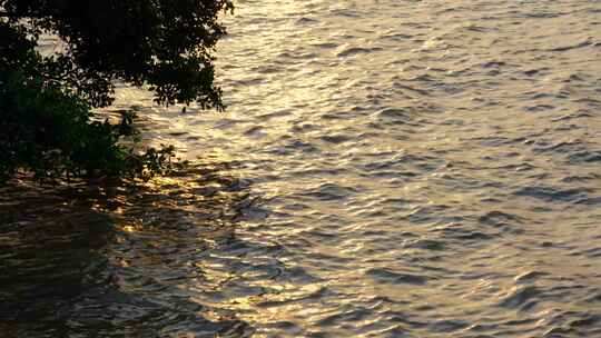 唯美浪漫的夏日夕阳海面