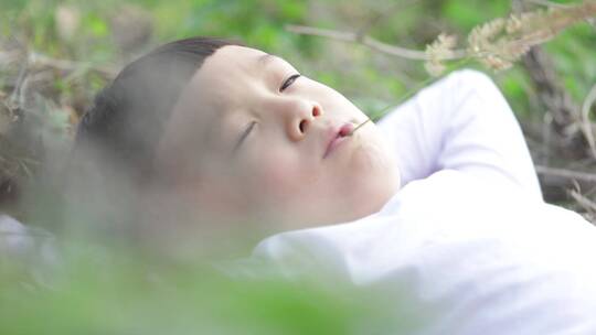 小男孩躺在芦苇荡1