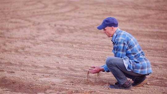 农民检查手中的有机土壤