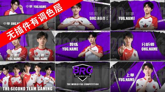 紫黑5人物介绍游戏战队队伍体育运动比赛高清AE视频素材下载