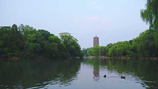 北京大学空镜-未名湖