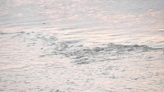 河流 流水 水面 奔流 江河 波涛 波浪翻滚