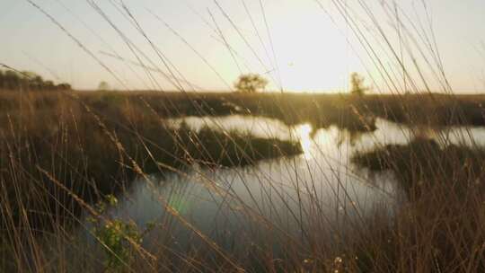 大草原上被干草环绕的湖泊视频素材模板下载