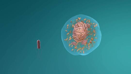 医学微观生物病毒细胞形态医疗三维动画展示