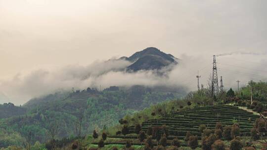 汉中茶山延时日出云海美景