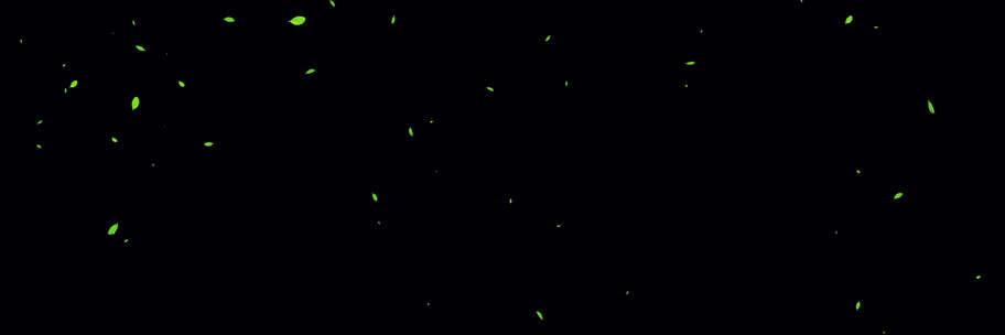 树叶飘落带通道