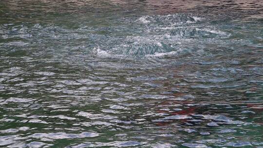 济南趵突泉公园，三股泉水喷涌称天下第一泉视频素材模板下载