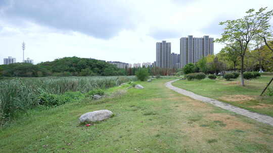 武汉江夏区藏龙岛国家湿地公园