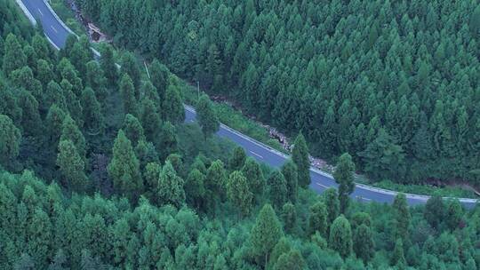 俯视山林蜿蜒公路白色行车前飞