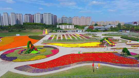 航拍枣庄市中区东湖最美丽的花海