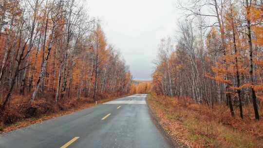 秋天呼伦贝尔中俄边境边防公路卡线沿途风景