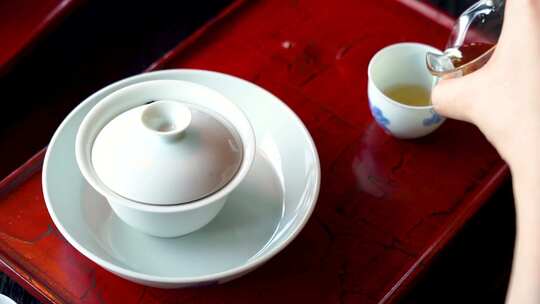 中国传统文化茶道茶艺泡茶醒茶沏茶全过程