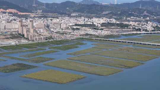 惠州市盐洲海洋湿地公园-红树林航拍