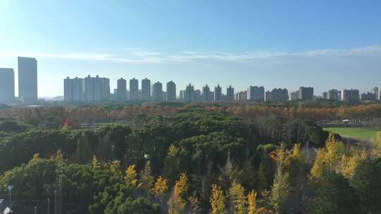 上海世纪公园秋景  上海秋景