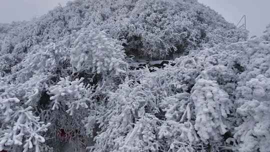 河南老君山冬季雪后云海大气航拍