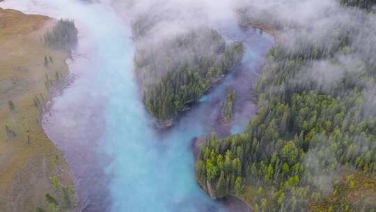 新疆喀纳斯晨雾雾气缭绕的湖泊与白鹭航拍