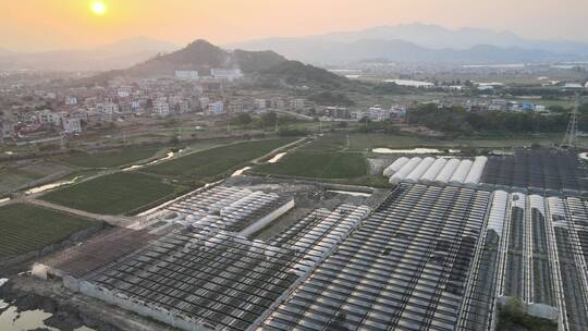 大气 航拍 福建 泉州 农场 农业 美景视频素材模板下载