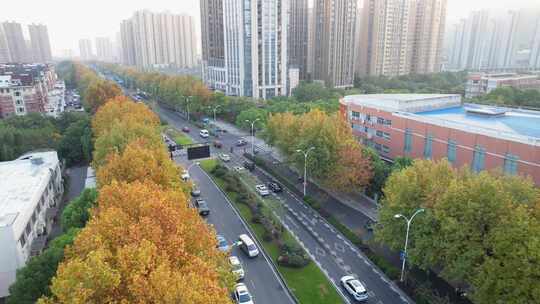 城市秋天道路风景航拍