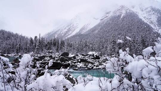 西藏然乌湖冬天雪山森林冰河雾凇雪景风光