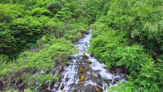 四川阿坝州茂县松坪沟