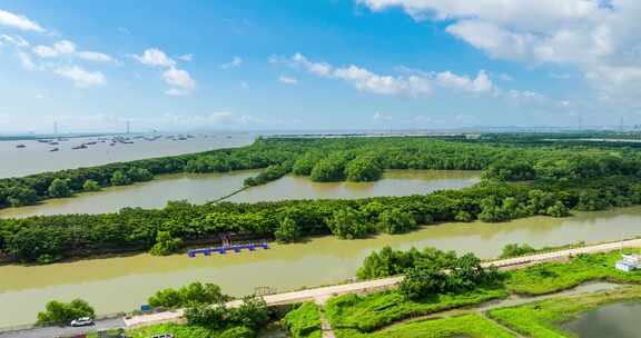 广州南沙湿地公园航拍延时