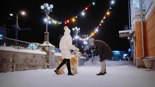 雪，狗，狗，阿富汗猎犬