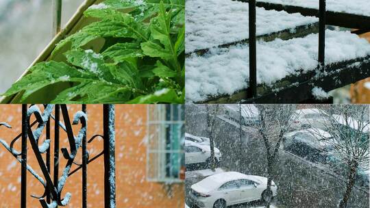 冬季下雪白雪积雪雪花寒冷季节