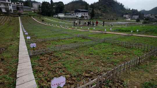 劳动空镜刨土锄地农场工人耕作劳作翻土