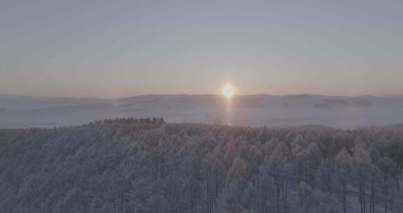 中国最北端的白色森林雪景日出