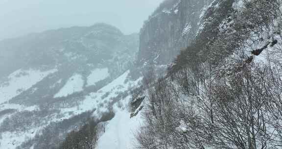 佐治亚州帕萨诺里美丽雪山的鸟瞰图