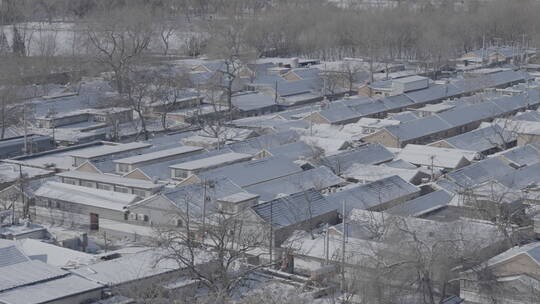 北方农村冬天 农村冬天 屋顶积雪