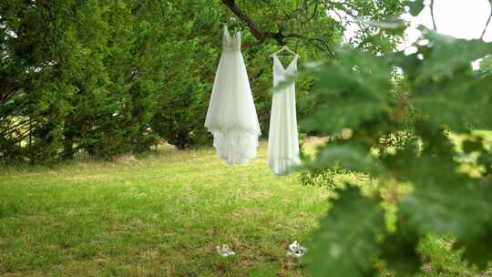 大自然的树冠：新娘礼服在橡树的拥抱中跳舞