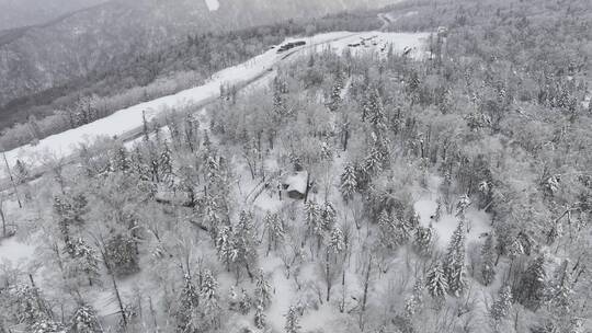 中国雪乡亚雪公路