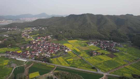 油菜花开，春日的宁国市西村风光航拍素材