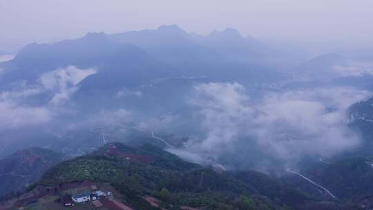 镇安海棠山