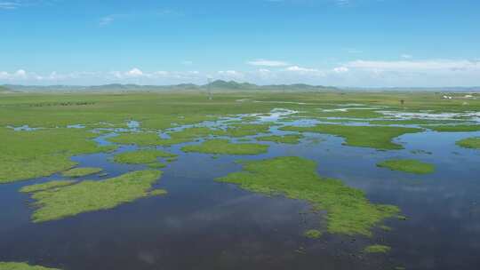 四川阿坝州若尔盖大草原湿地航拍自然风光