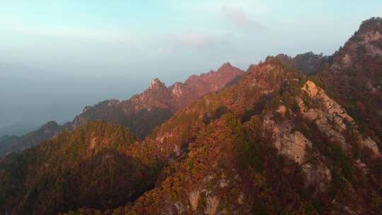 秋季森林自然风景实拍